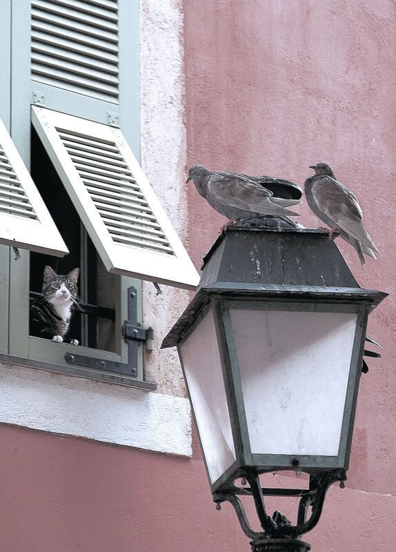 开云真人娱乐官网-比赛节奏与外线命中率波动关系研究