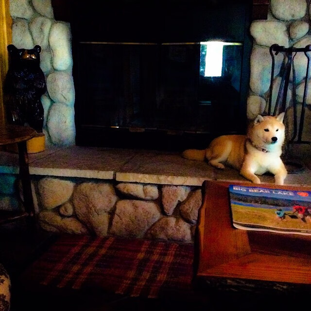 kaiyun官方入口登录-“萨尔·巴赫:南非的年轻希望”