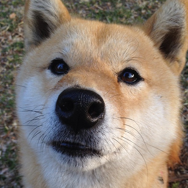 开云首页登录-法甲青训成绩与国际合作优势,法甲青训最好的球队