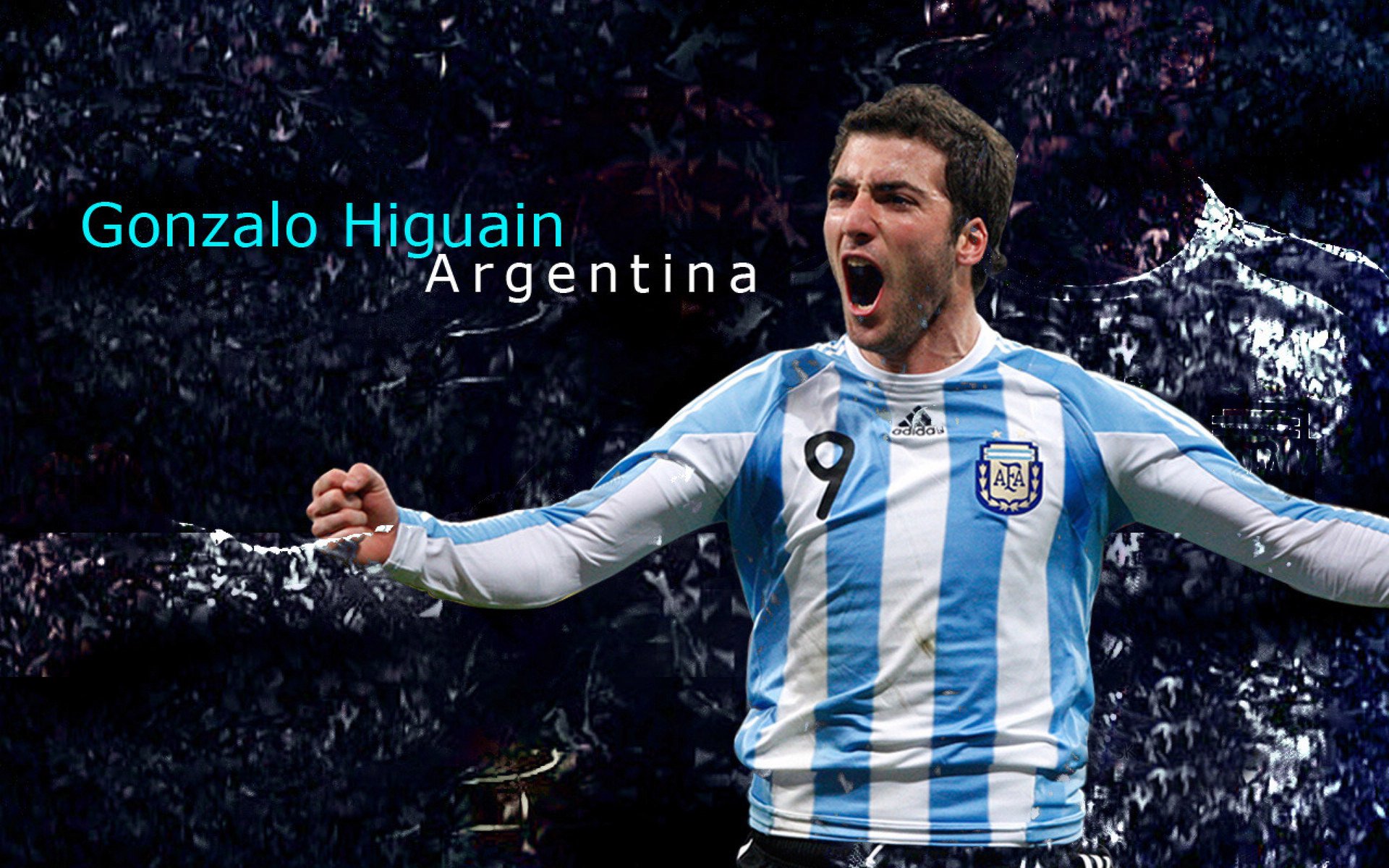 胡贝特·科斯泳池内外双重突破，胡贝尔特